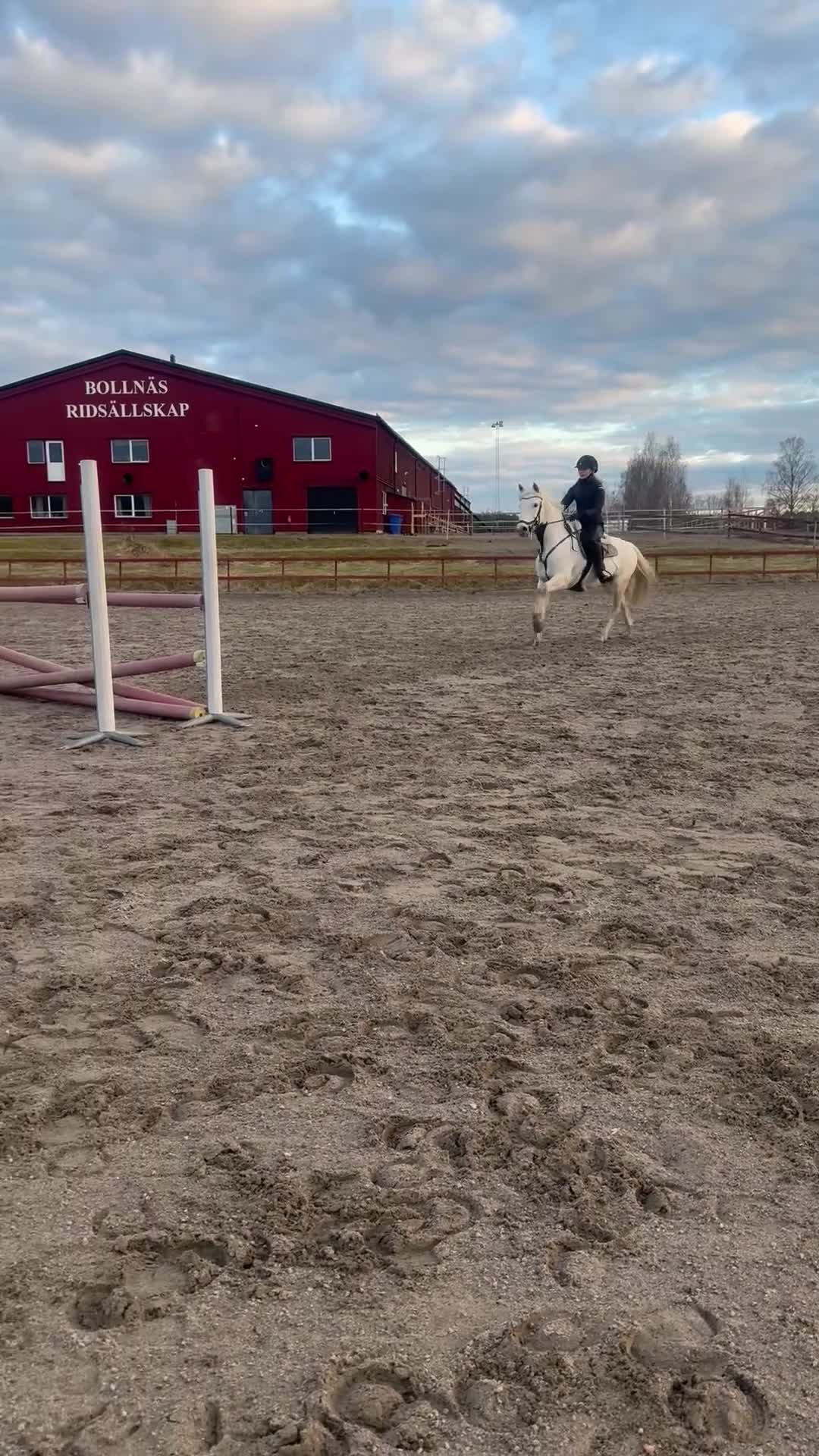 Allround hästar till salu: Tävlingskompis & bästavän! - Video 1