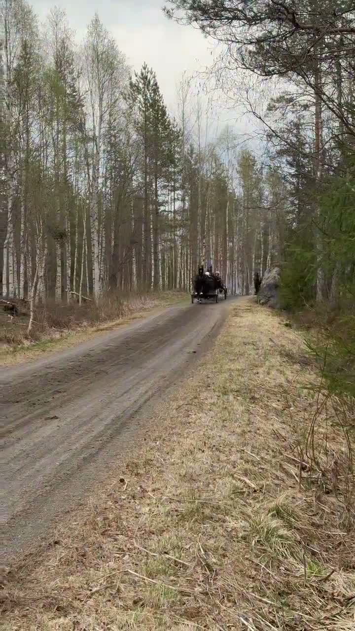 Allround hästar till salu: Säljes eller fodervärd  - Video 2