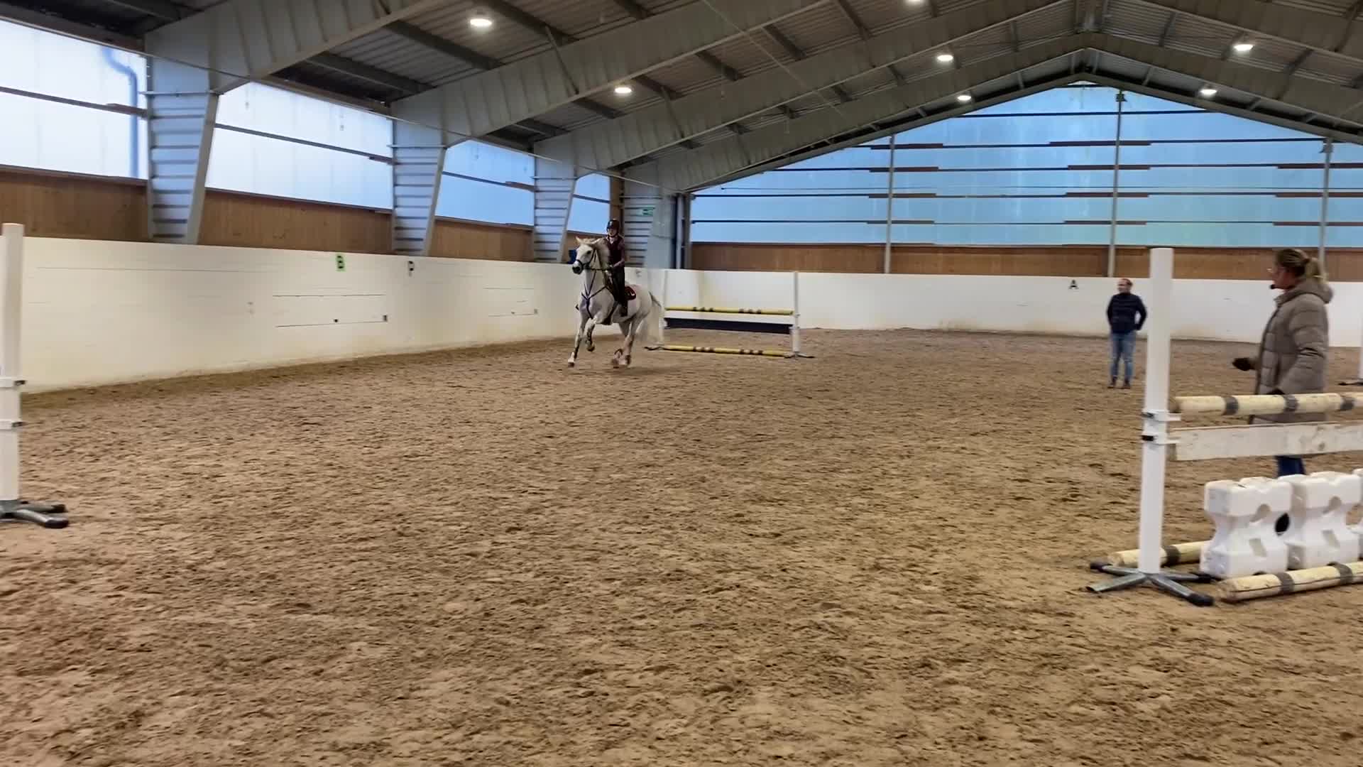 Hoppning hästar till salu: Fantastisk maxad D-ponny - Video 1