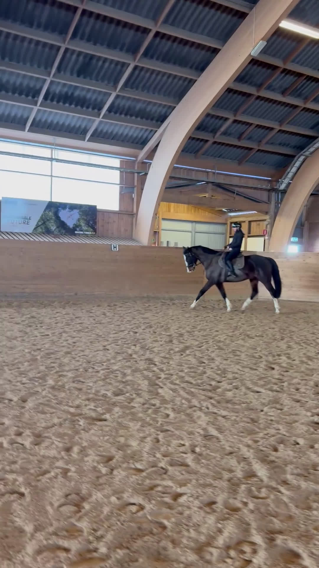 Dressyr hästar till salu: Ståtlig herre med hjärtat på rätt ställe - Video 1