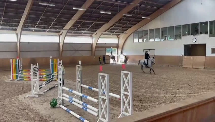 Hoppning hästar till salu: Trevligt sto  - Video 1