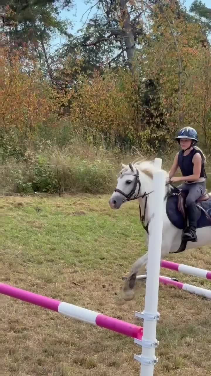 Allround hästar till salu: Tiara – ponnyn som gjorde vår lilla ryttare stor - Video 4