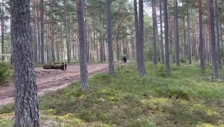 Fälttävlan hästar till salu: SM-placerad, meriterad Fälttävlansponny i Örsundsbro - Video 5