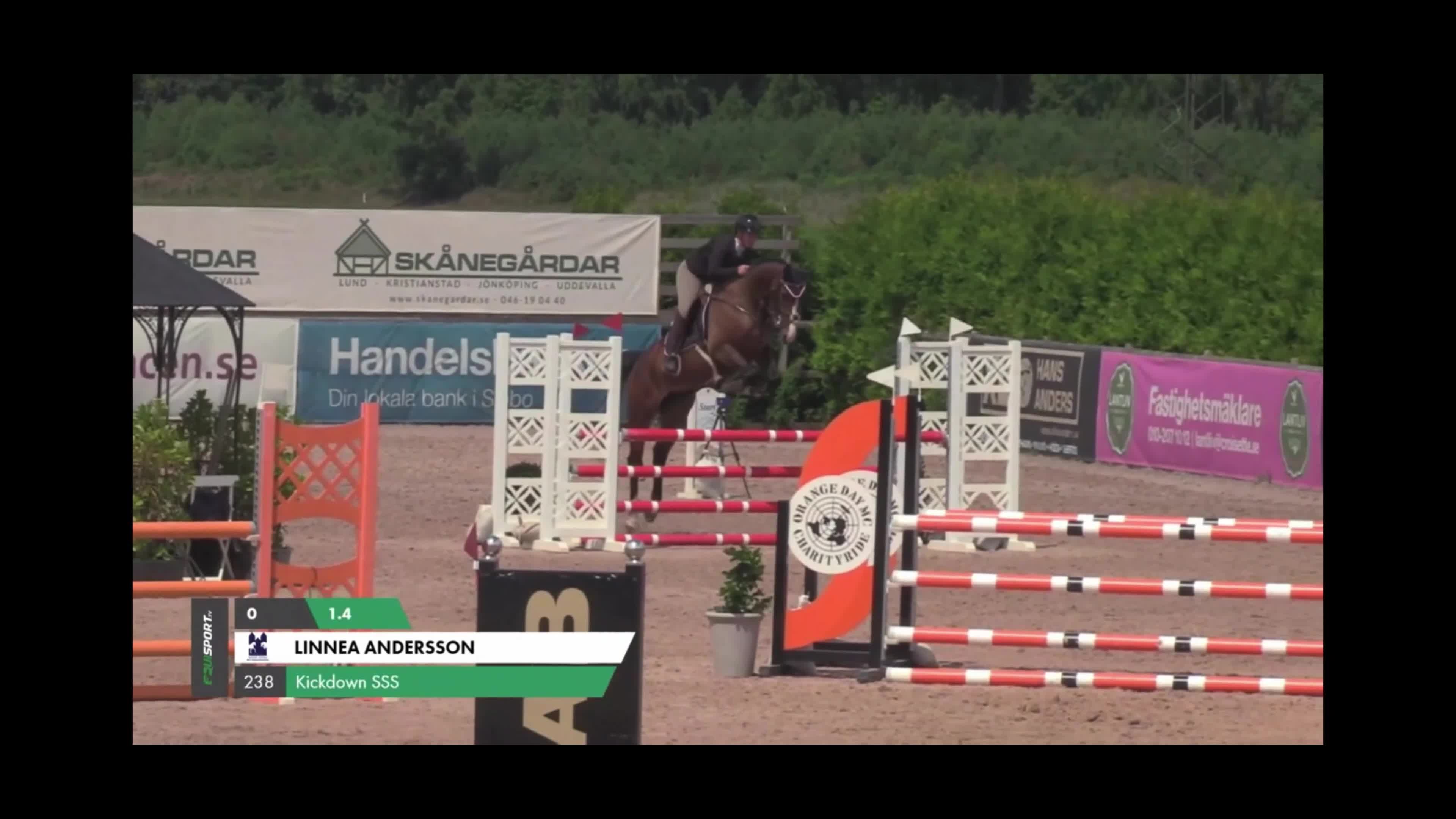 Allround hästar till salu: ⭐️VÄLDIGT SNÄLL TJEJ MED MYCLET SCOOP OCH TALANG⭐️ - Video 2