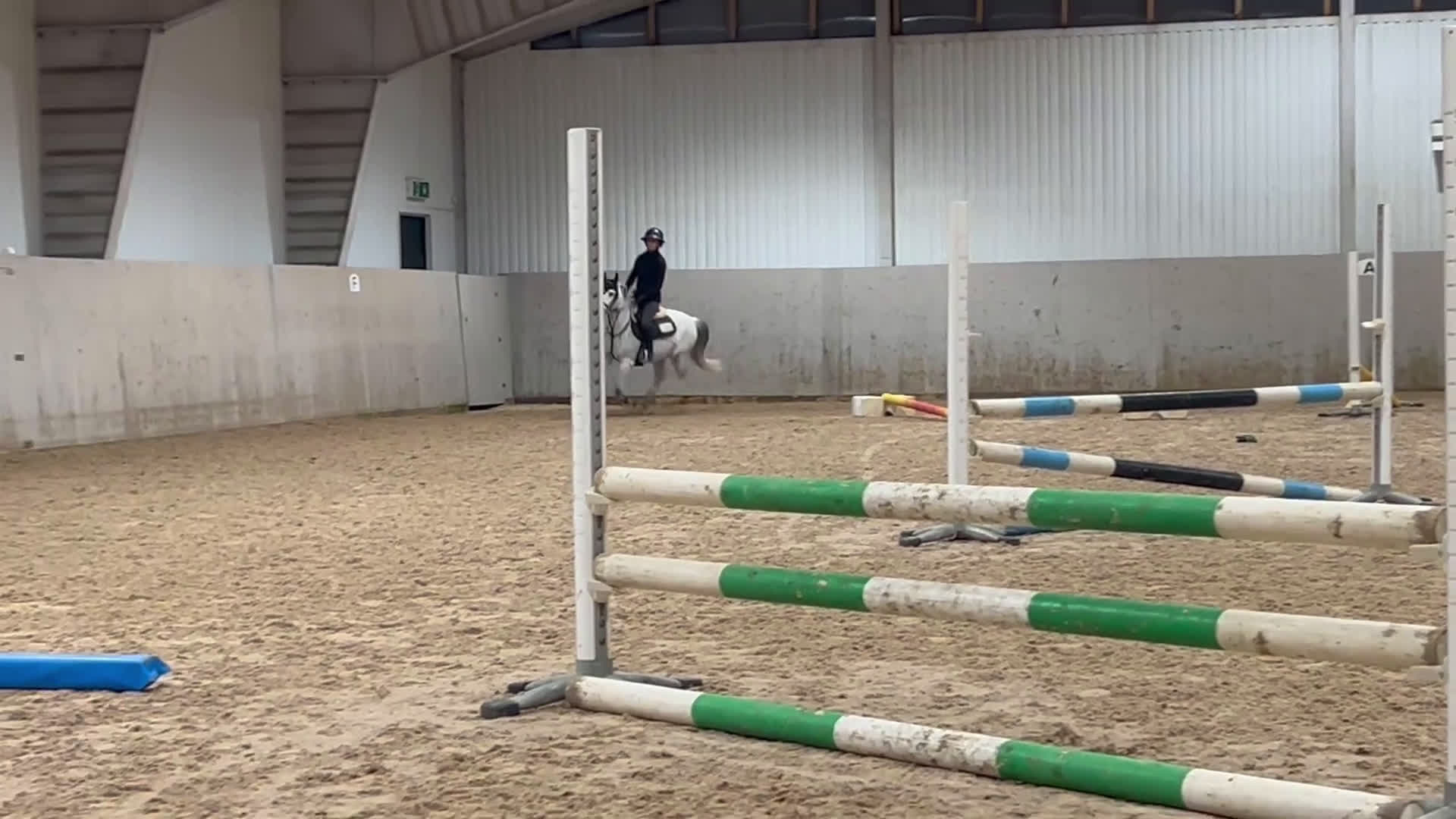 Hoppning hästar till salu: En kvalitetsponny!  i Skellefteå - Video 2