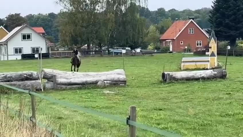 Allround hästar till salu: Trevligt sto - Video 2
