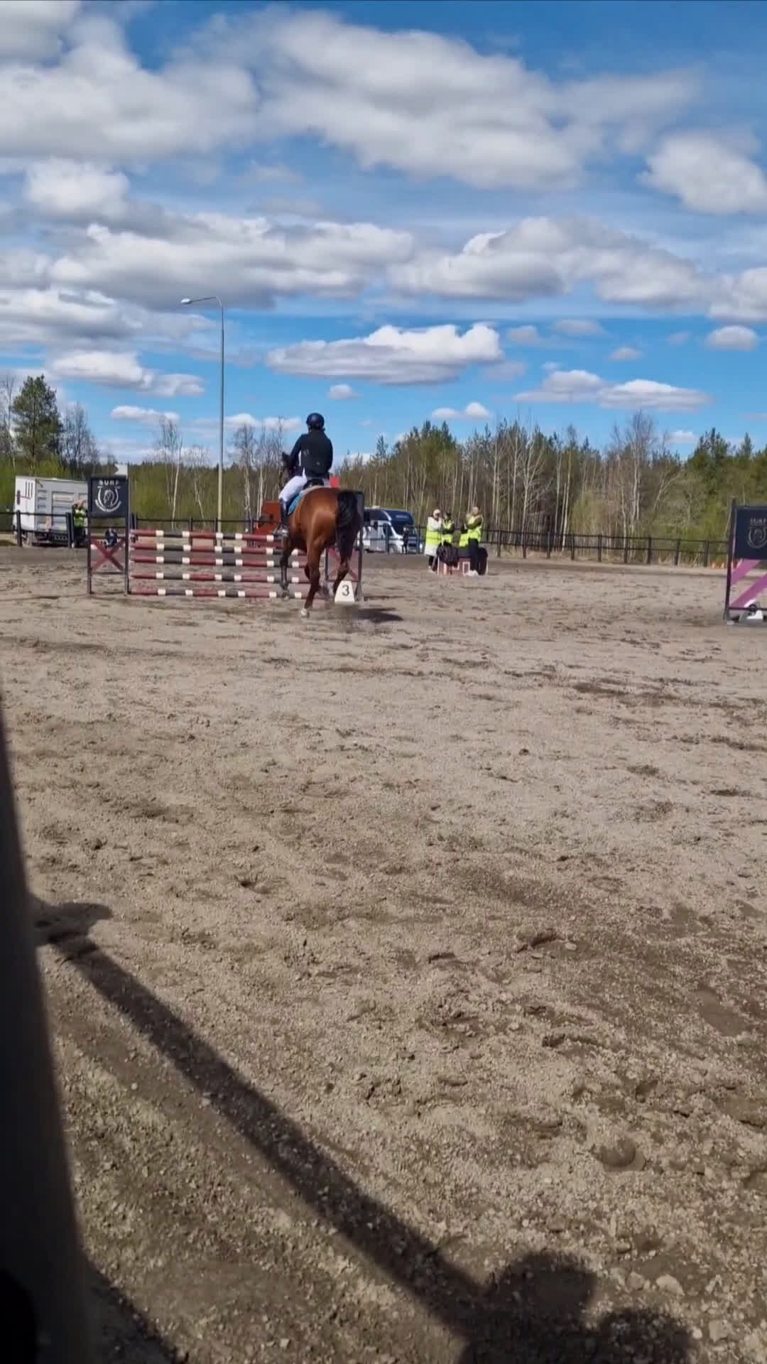 Allround hästar till salu: Snäll och trevlig kompis att utvecklas med! i Lögdeå - Video 5