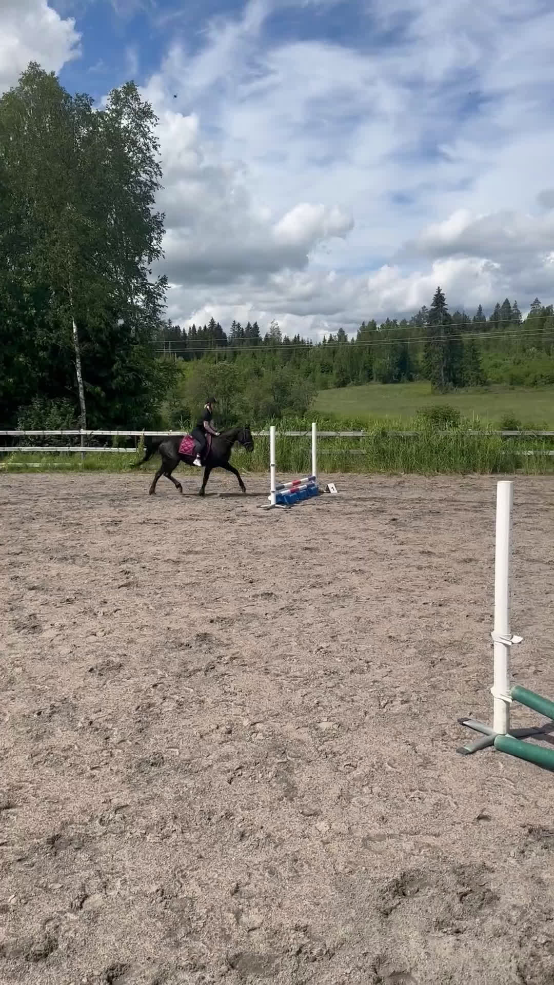 Allround hästar till salu: Ridtravare/ fölsto  i Kil - Video 3