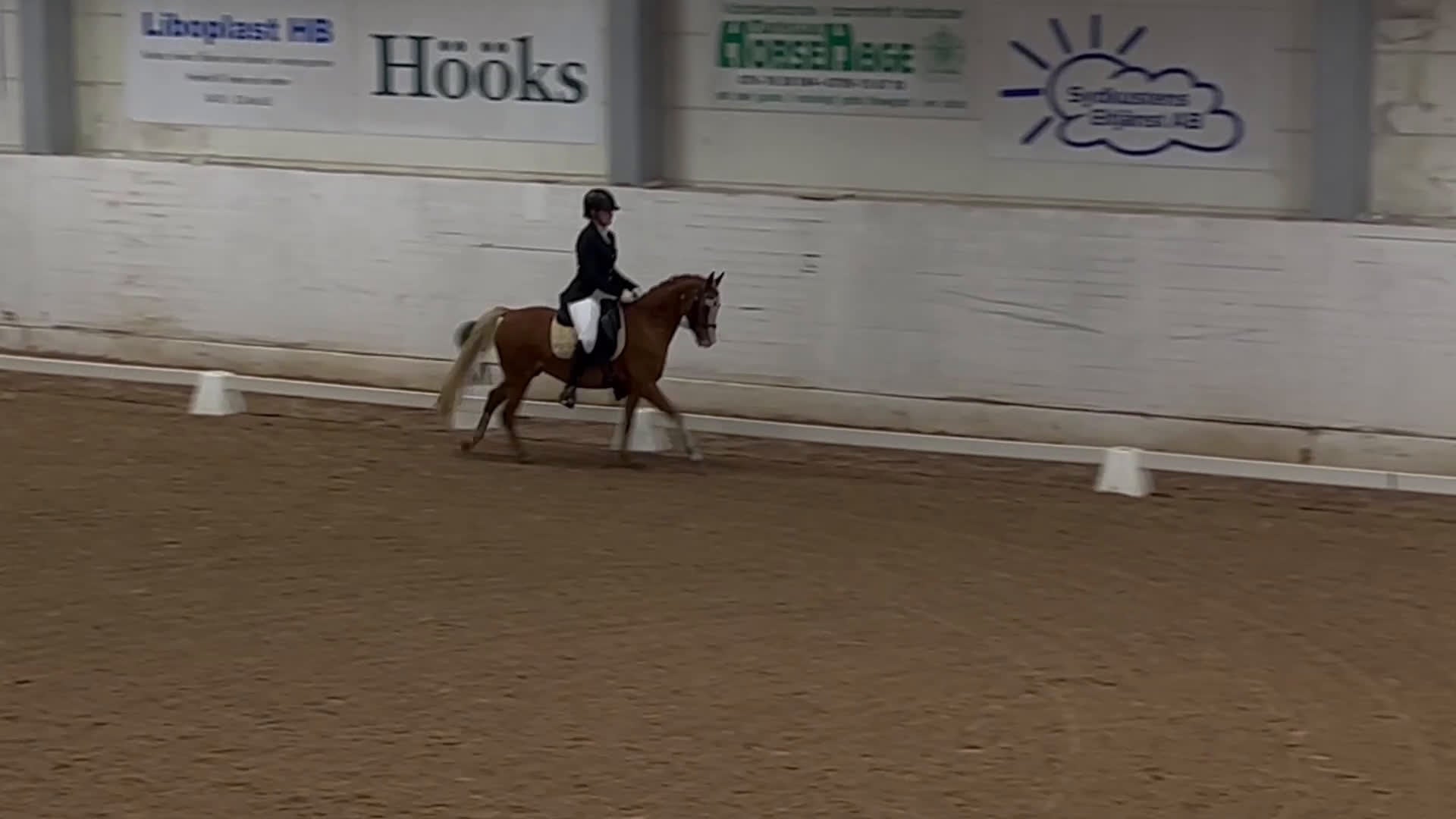 Allround hästar till salu: Guldponnyn Arhults Amazon - Video 1