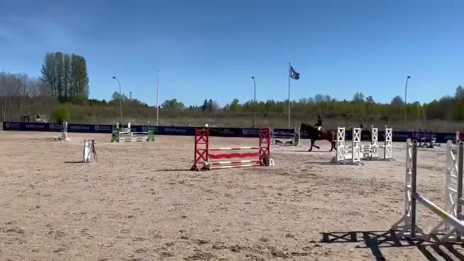  medryttarhäst sökes: Medryttarhäst/häst för samarbete sökes, Alvesta i Alvesta - Video 1