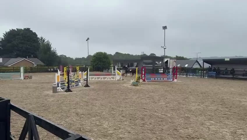 Hoppning hästar till salu: Valack 9 år tävlad 120  - Video 4