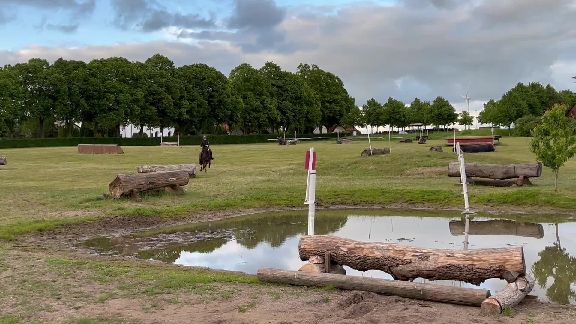 Allround hästar till salu: Rocky road letar nytt hem - Video 1