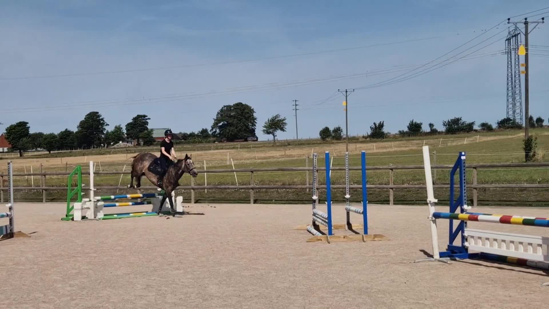Hoppning hästar till salu: 6-årigt sto e: Kannando Hästak ✨️ - Video 3
