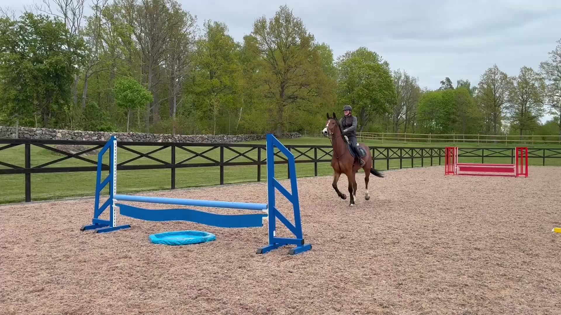 Hoppning hästar till salu: Väldigt fin SWB 4åring - Video 2