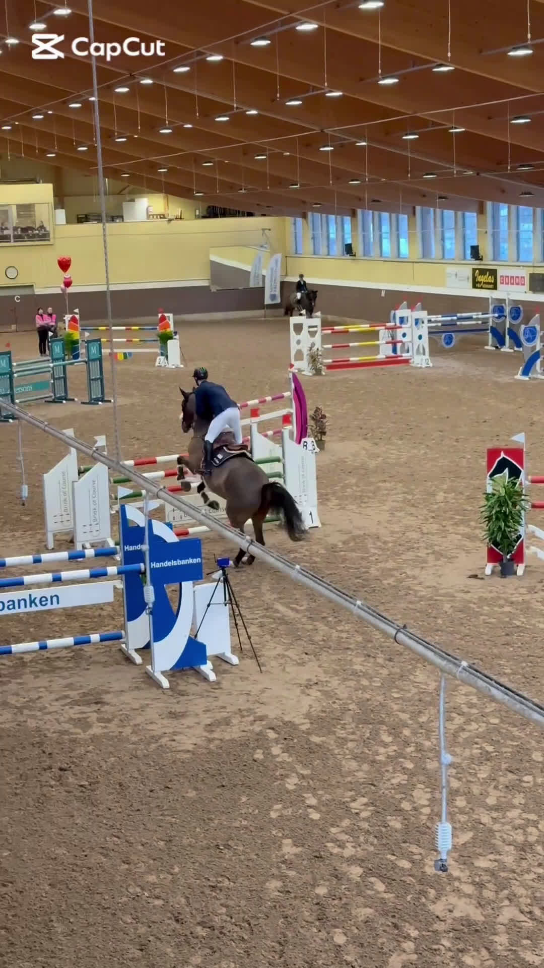 Hoppning hästar till salu: Toppstammat prestationssto med tävlingsmeriter i Linköping - Video 3