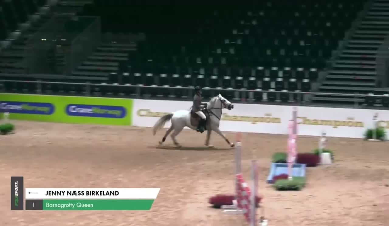 Hoppning hästar till salu: Super, snill og erfaren C-ponni selges - Video 5