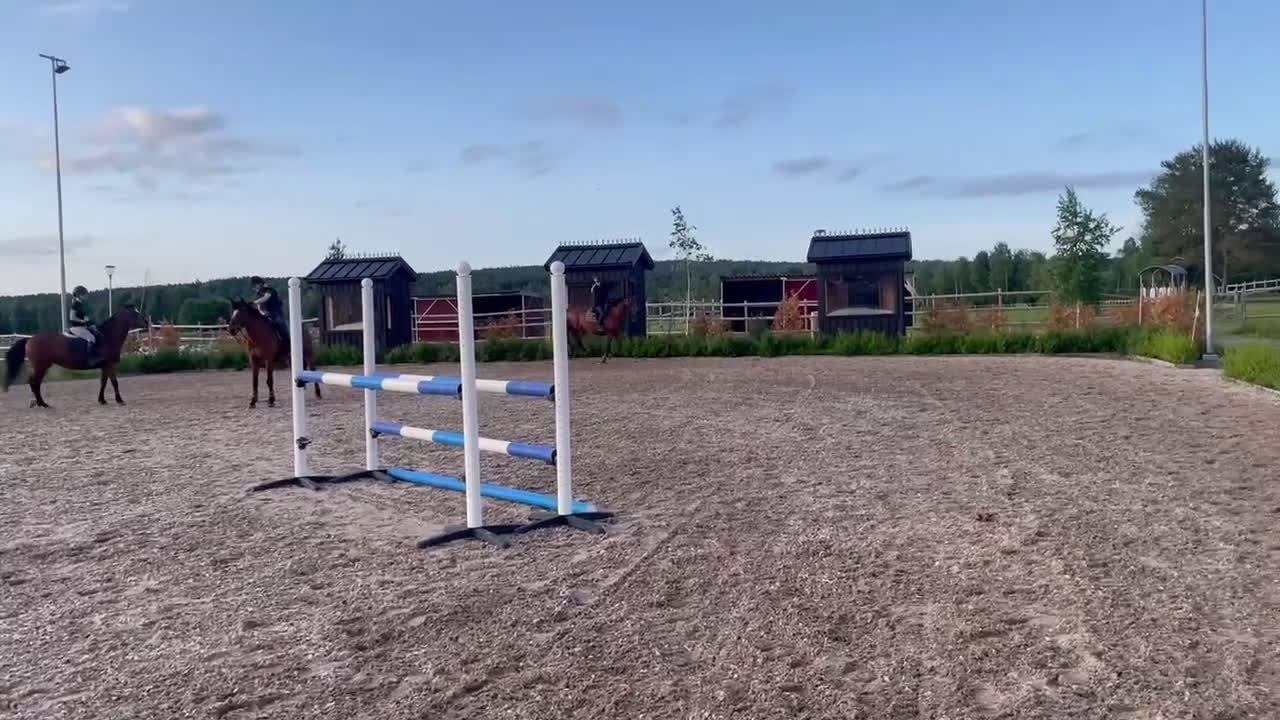 Allround hästar till salu: Piggt och trevligt allroundsto i Boden - Video 2