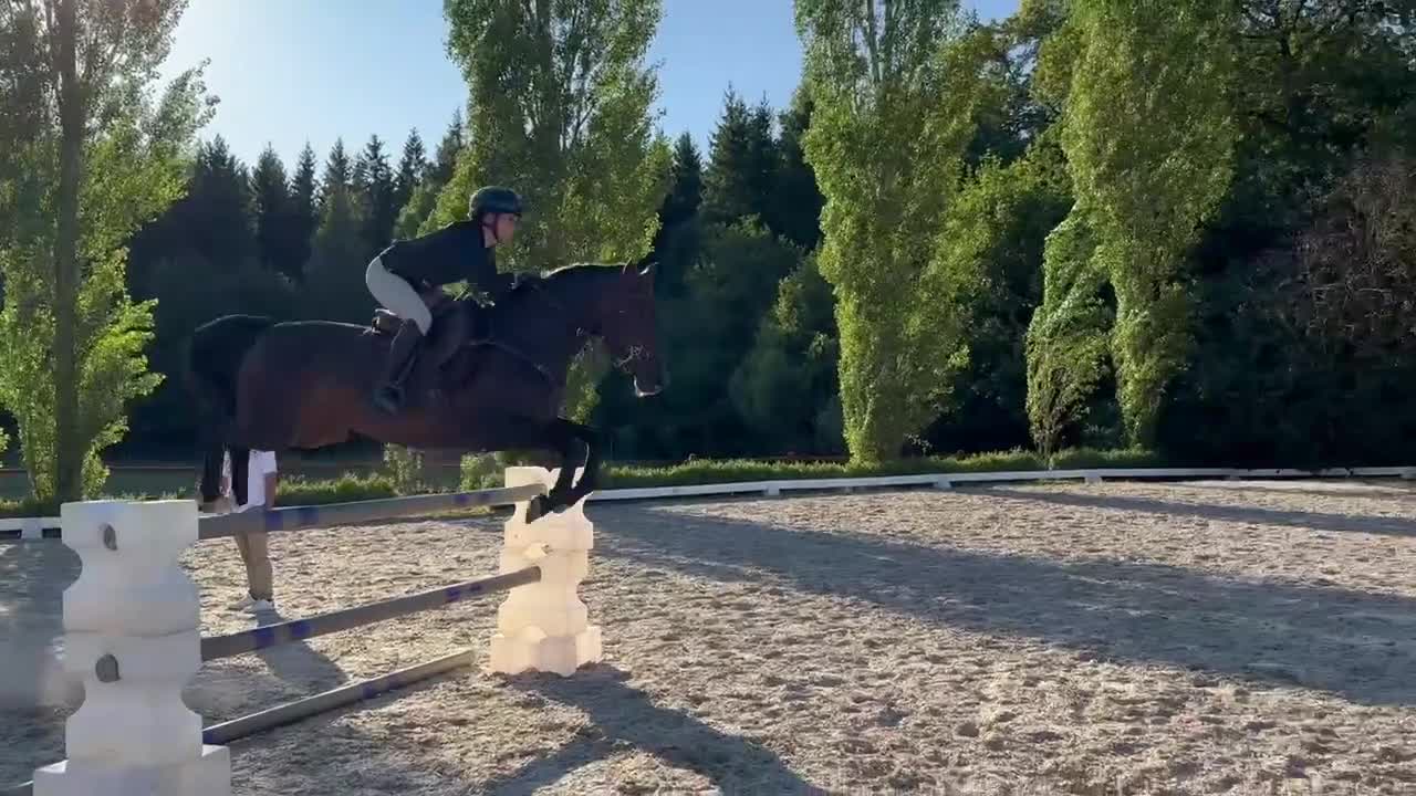 Hoppning hästar till salu: Pigg kvalitetsponny - passar som första ponny - Video 1