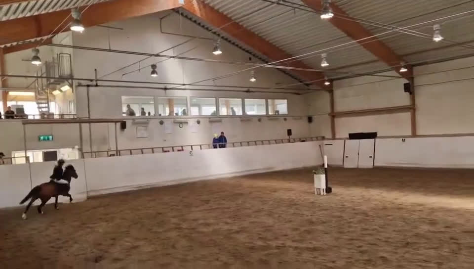 Hoppning hästar till salu: Het hopponny i Åkers Styckebruk - Video 5