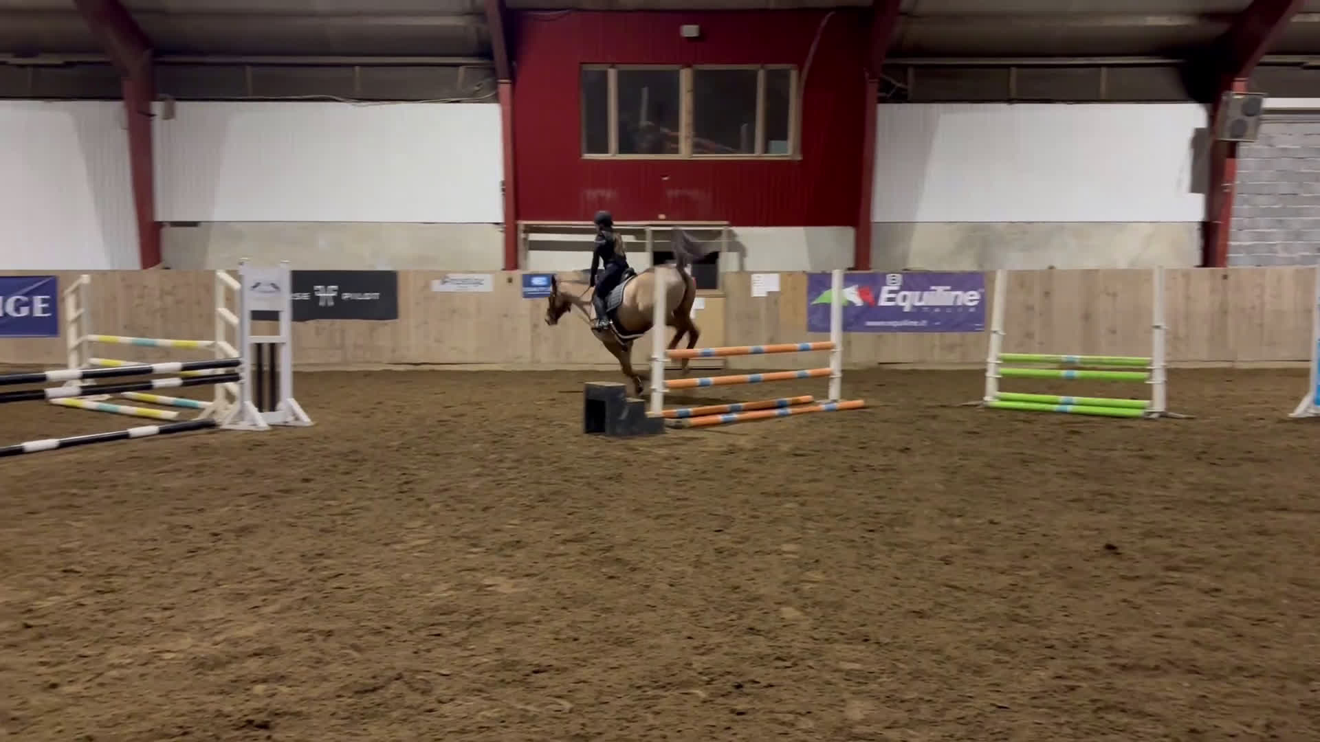 Allround hästar till salu: Lyxig hobbyhäst i Skepplanda - Video 1