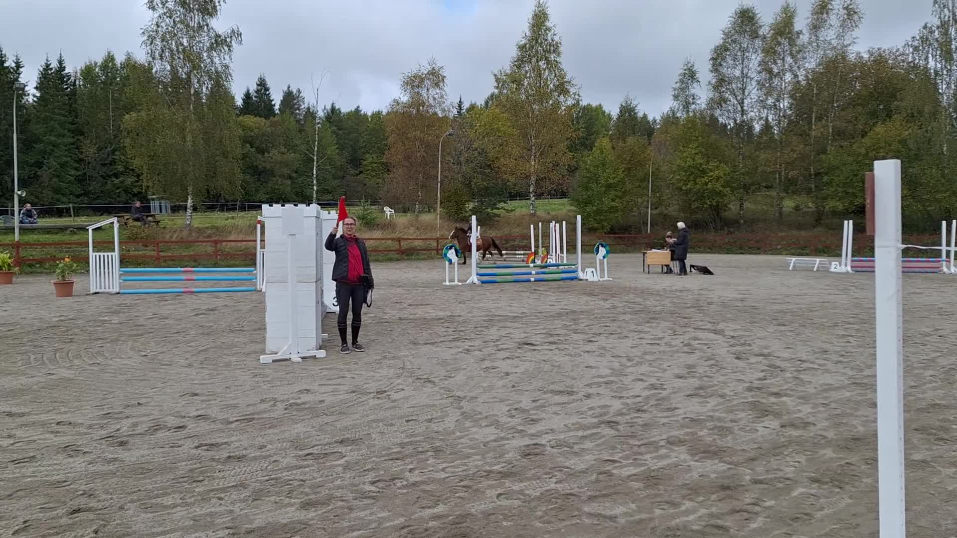 Allround hästar till salu: Maxad C-ponny - Video 2