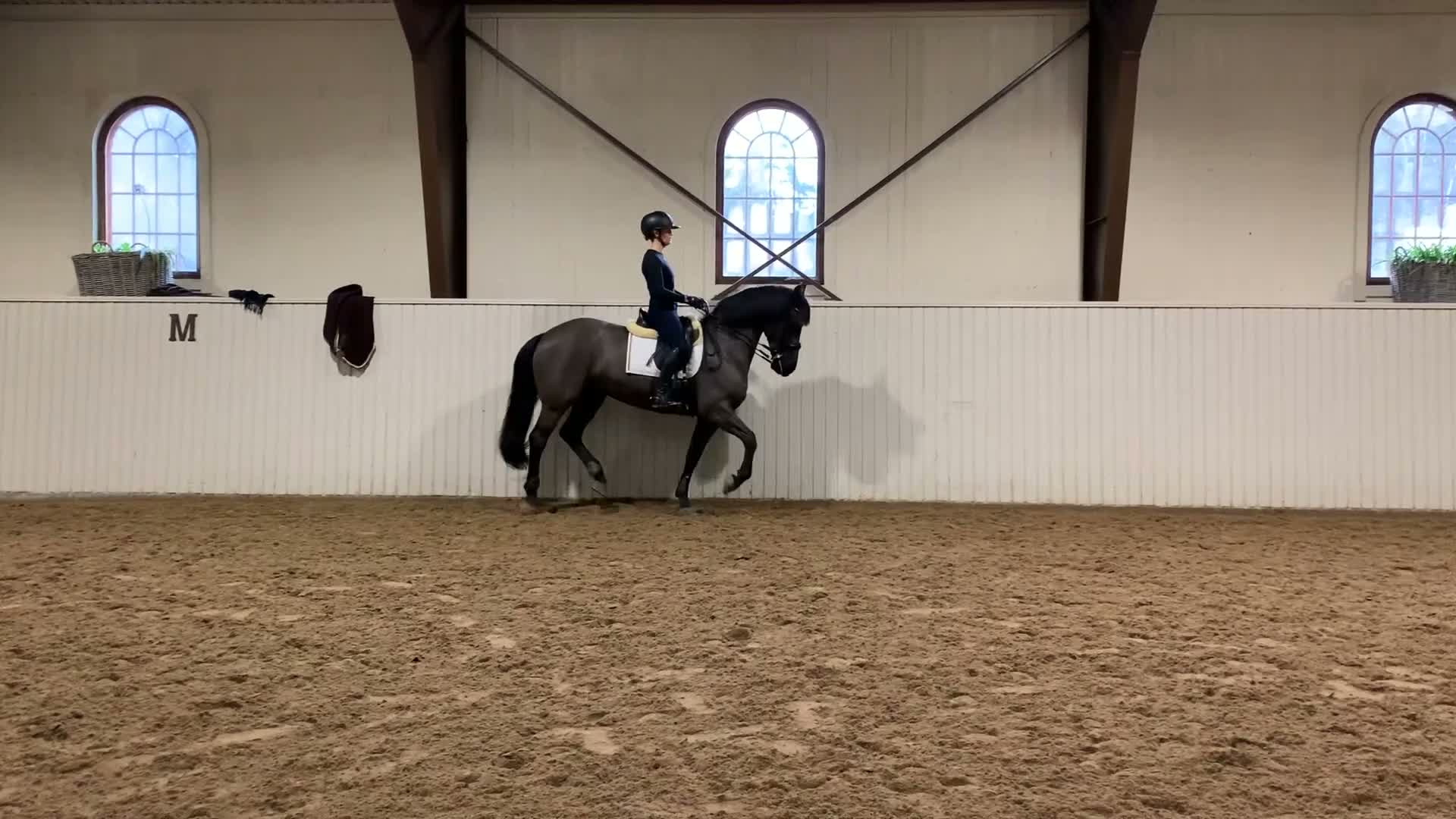  hästservice finnes: UTBILDNING TRÄNING TÄVLING FÖRSÄLJNING AV DIN 🐴 - Video 2