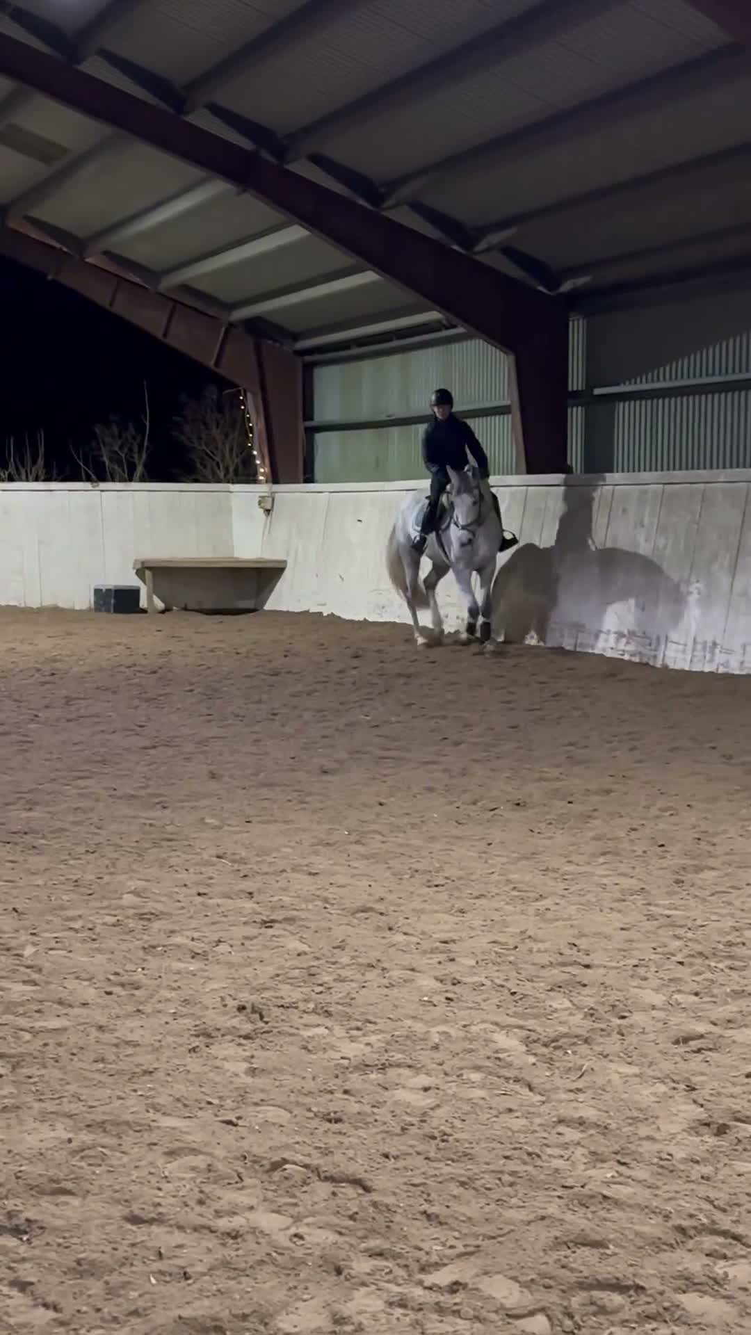 Hoppning hästar till salu: Tävlingskompis och bästa vän❤️ i Karlshamn - Video 4