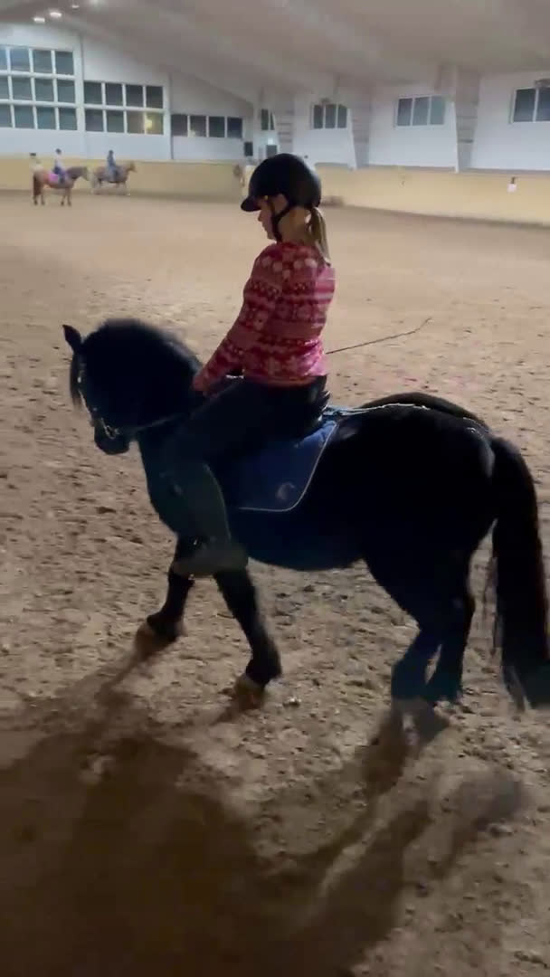  medryttarhäst finnes: Söker medryttarhäst - Video 1