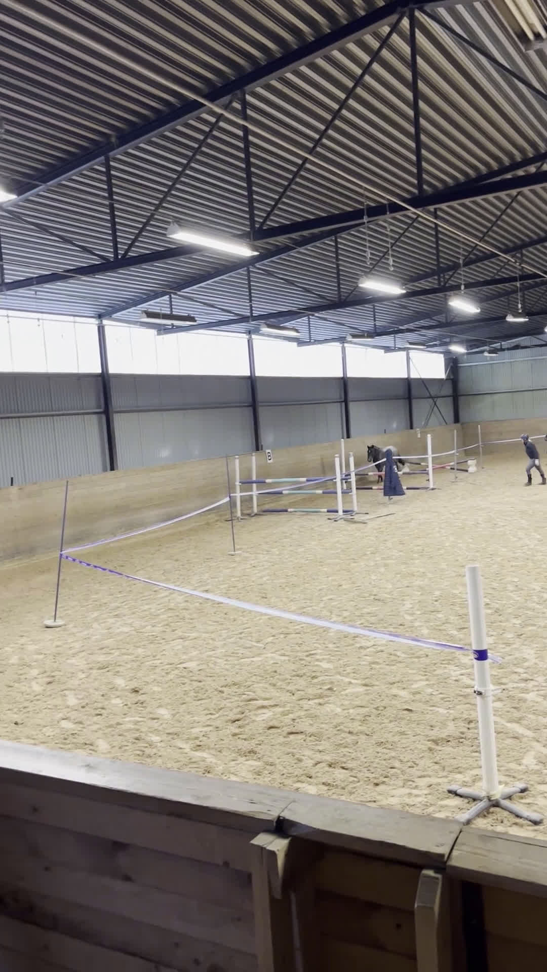 Allround hästar till salu: Superfint C-ponny sto - Video 2