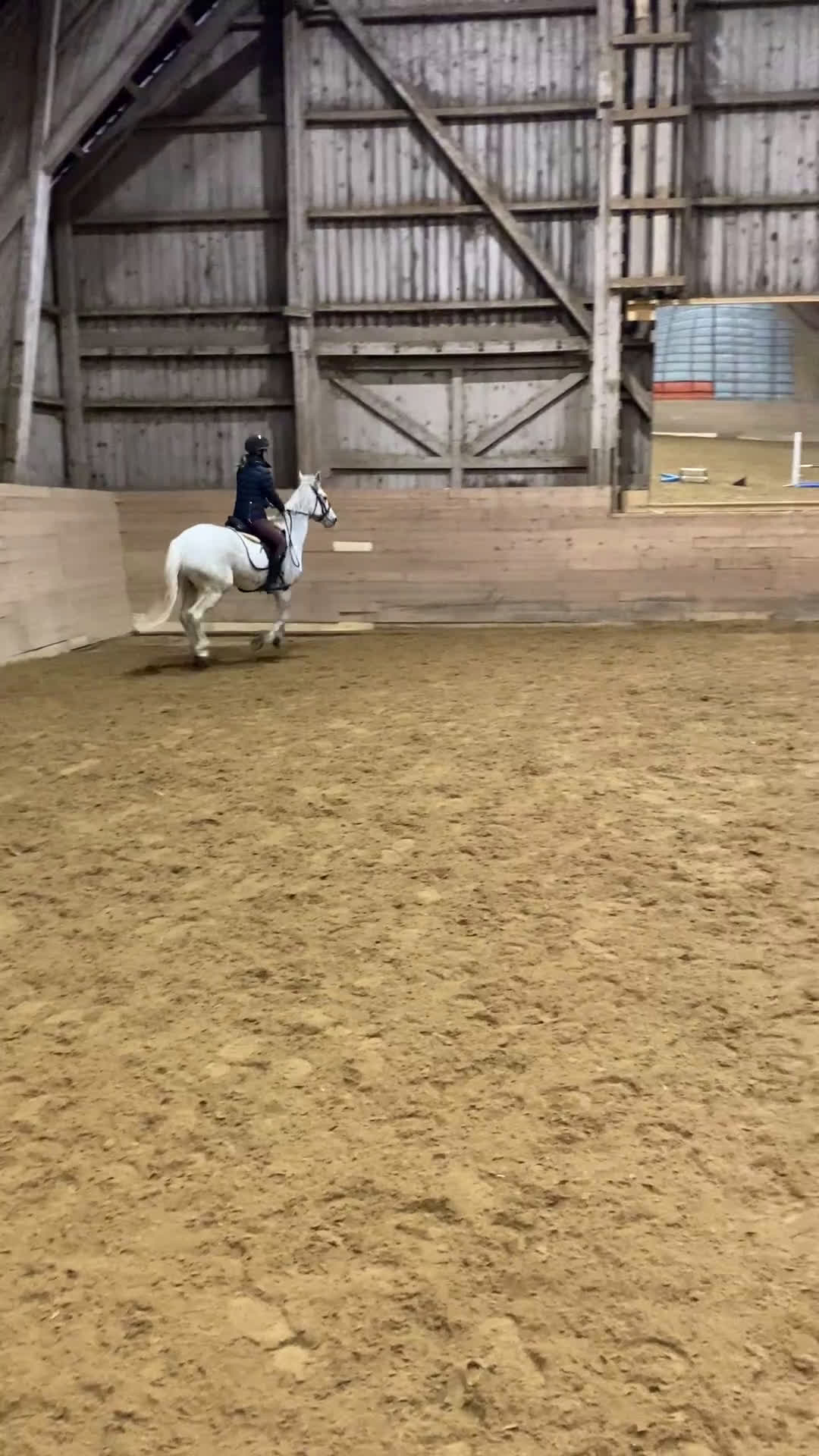 Hoppning hästar till salu: Kul D-ponny som älskar livet!  i Sturefors - Video 2