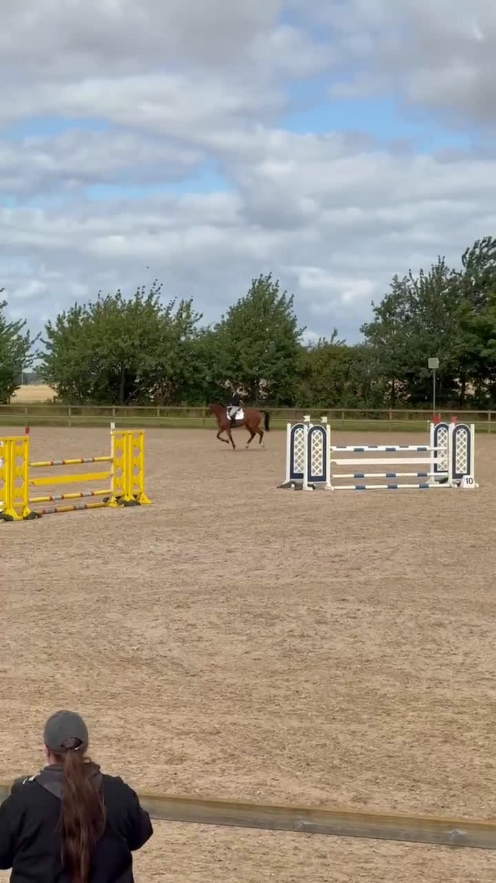 Hoppning hästar till salu: Chaccmate fin och personlig hopphäst - Video 2