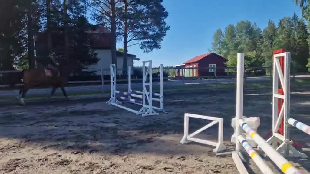 Hoppning hästar till salu: Fin Fyraåring  i Viksjöfors - Video 1