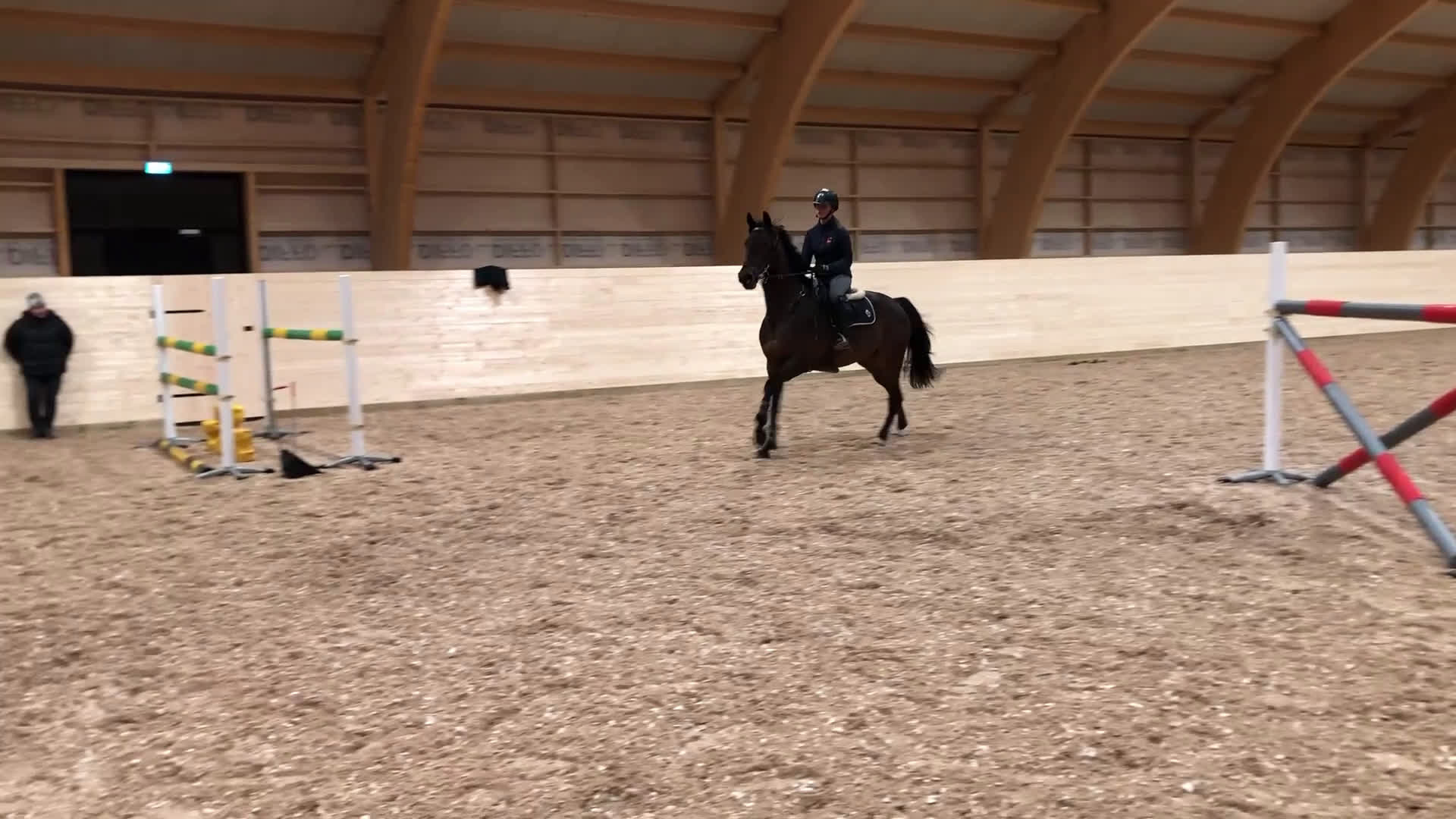 Avelshästar hästar till salu: Avelssto i Harbo - Video 2