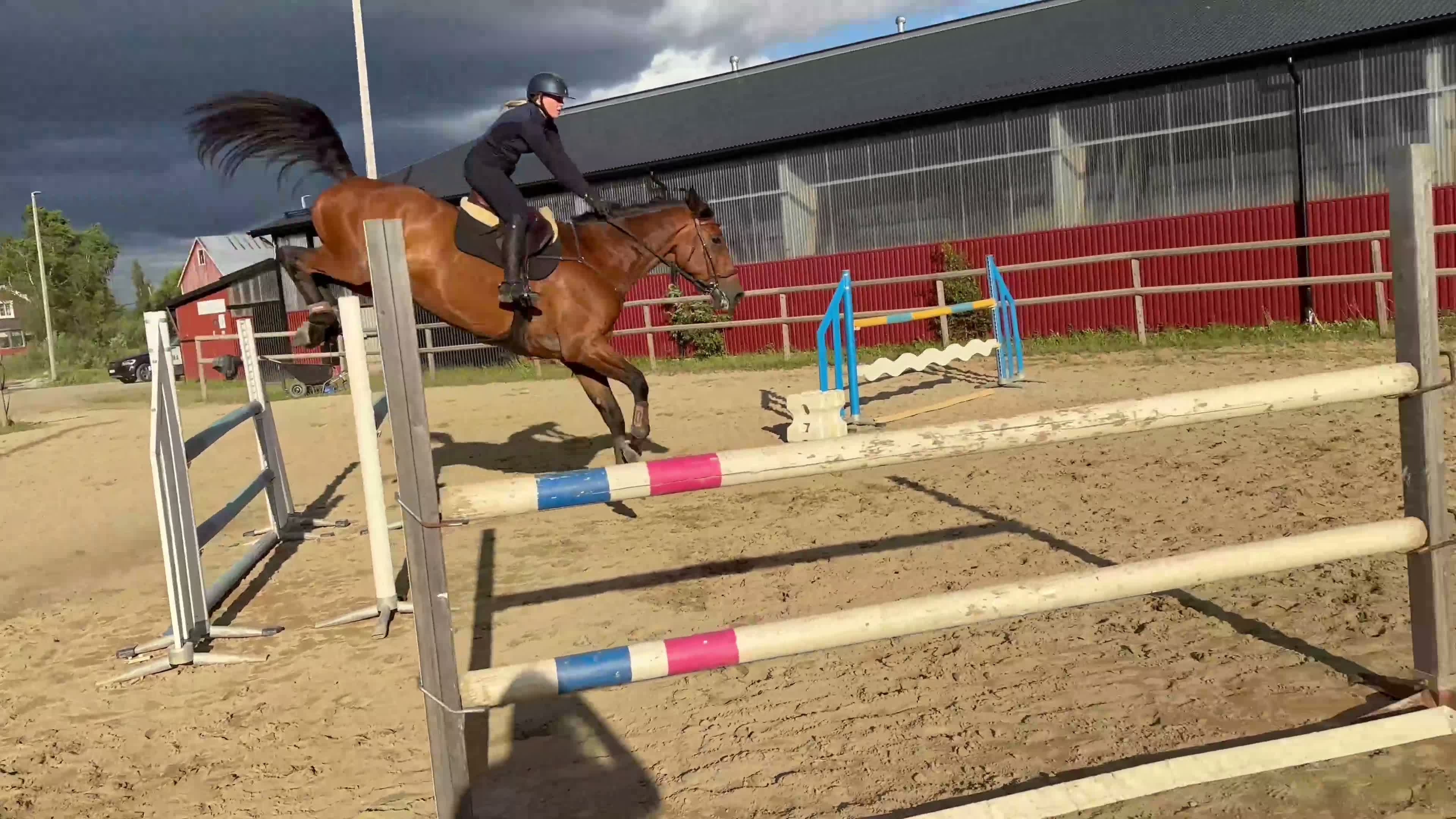 Hoppning hästar till salu: Resultatsäker hopphäst med stort scoop och hjärta - Video 2