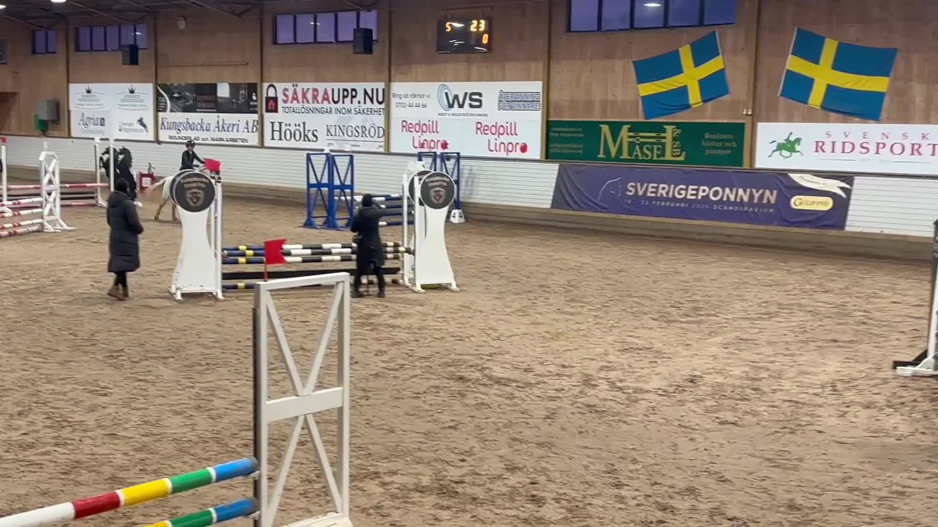 Allround hästar till salu: Prinsess ponny👑 i Trollhättan - Video 1