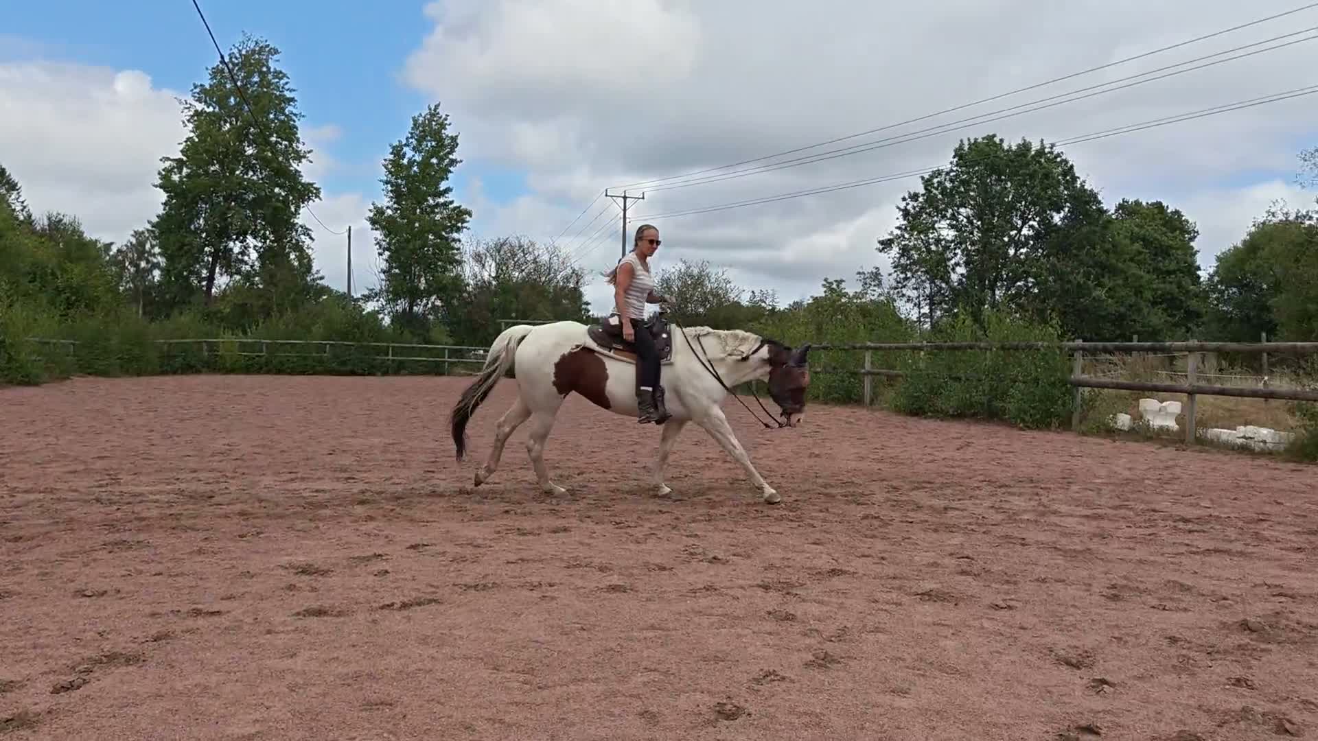 Western hästar till salu: Positiv och arbetsvillig 7-åriging - Video 1