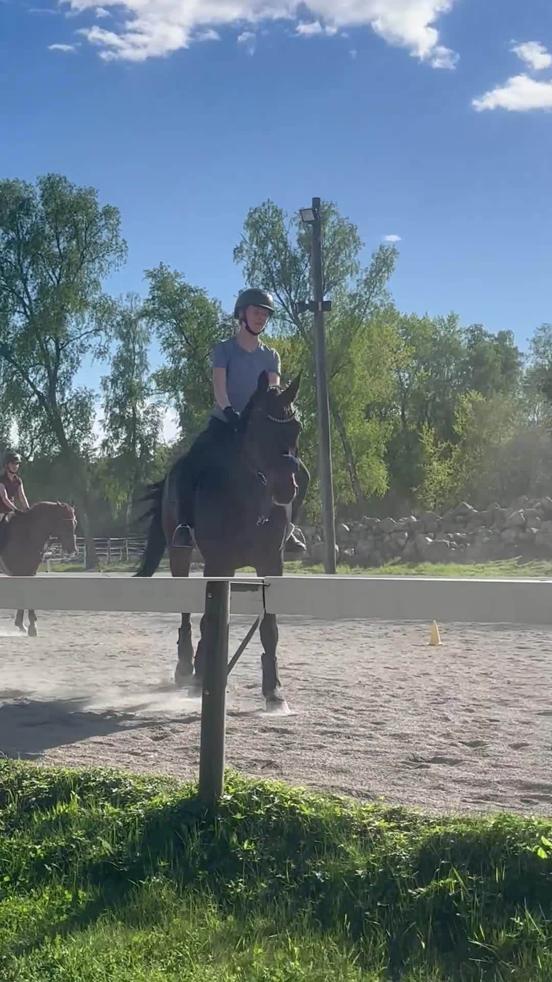 Allround hästar sökes: Sökes medryttarhäst i Sollentuna - Video 1