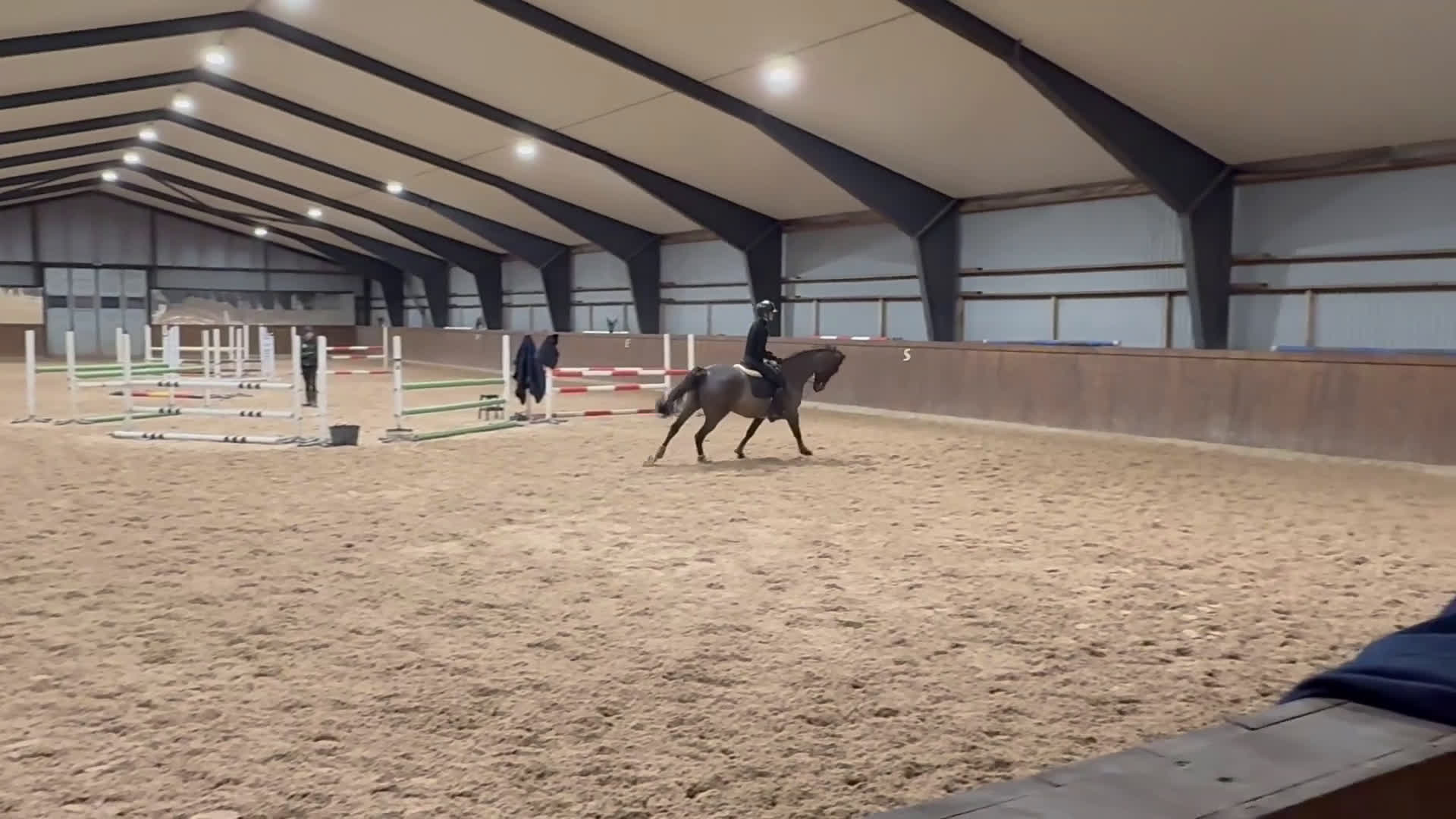 Allround hästar till salu: Snygg Valack Tillsalu - Video 4