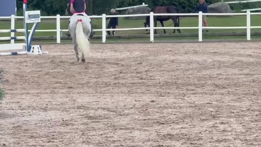 Hoppning hästar till salu: Maxat d-ponny sto med kapacitet - Video 2