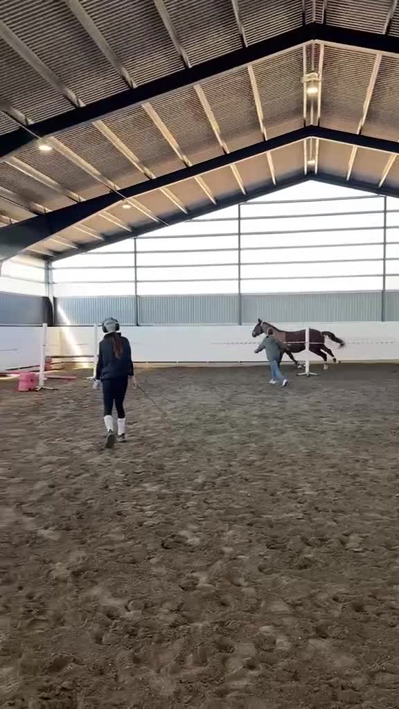 Hoppning hästar till salu: Trevlig valack till både hoppning och dessyr🧡 - Video 2