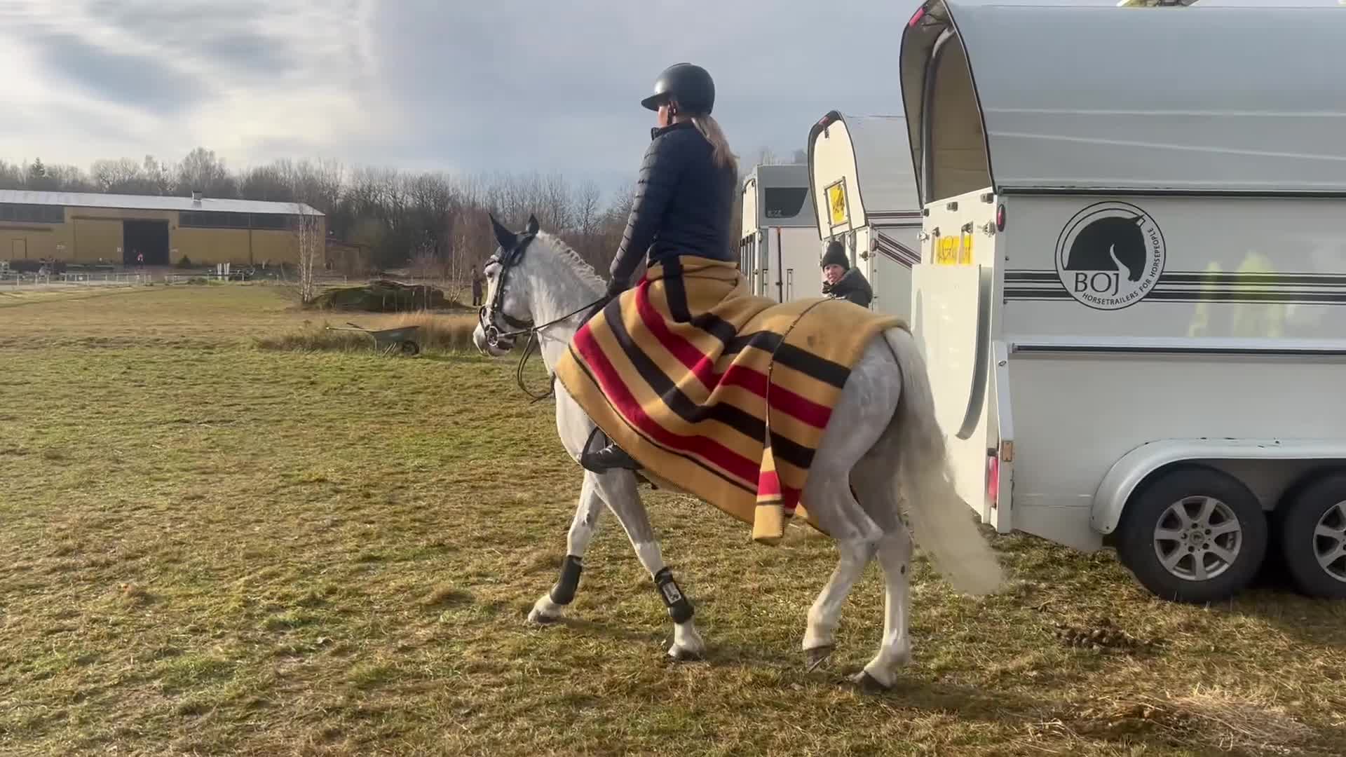 Hoppning hästar till salu: 🌟 Drömponny för de högsta klasserna 🌟 - Video 2