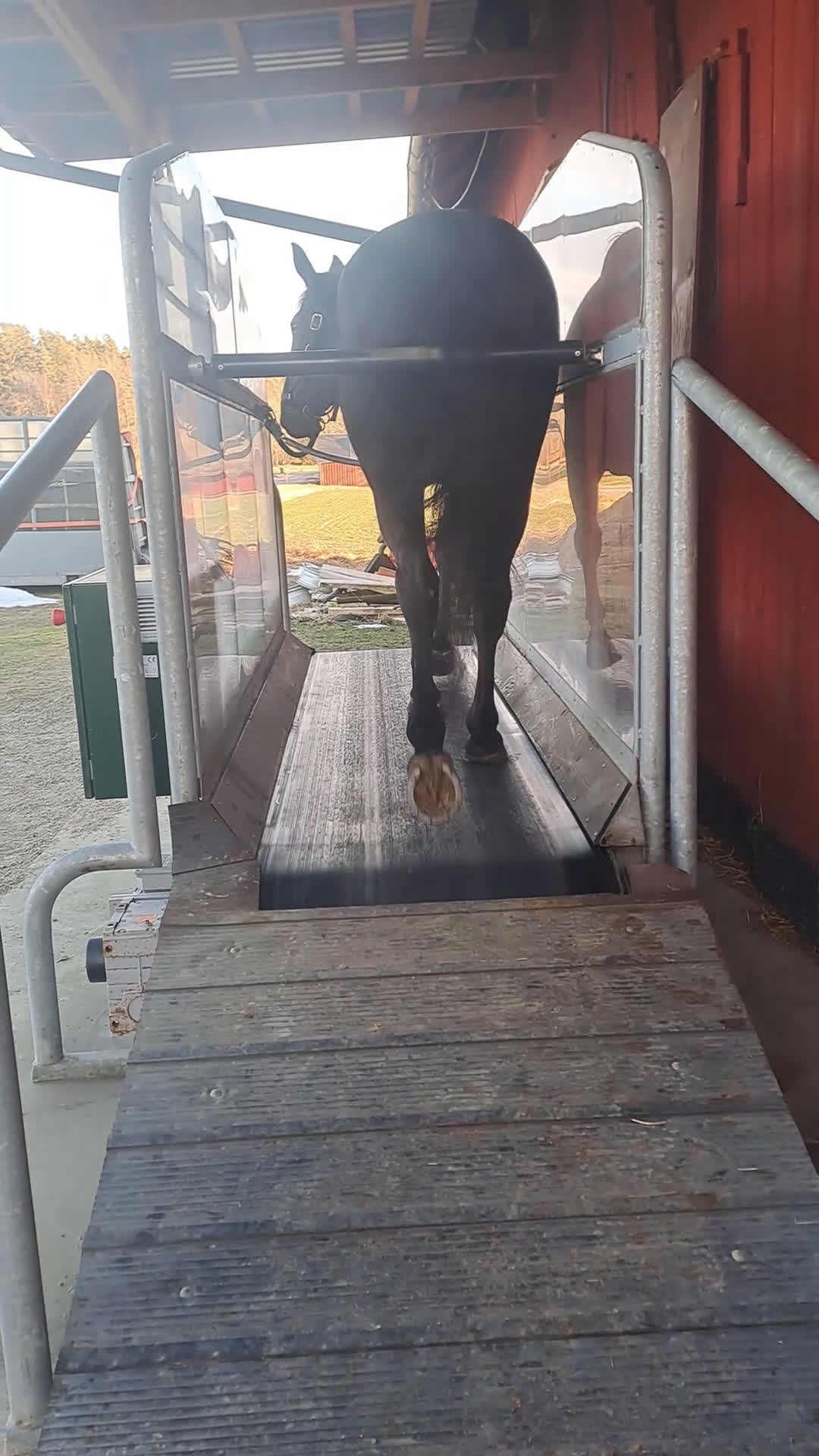 Övrig Hästutrustning hästutrustning till salu: Skrittmaskin i Alingsås - Video 2