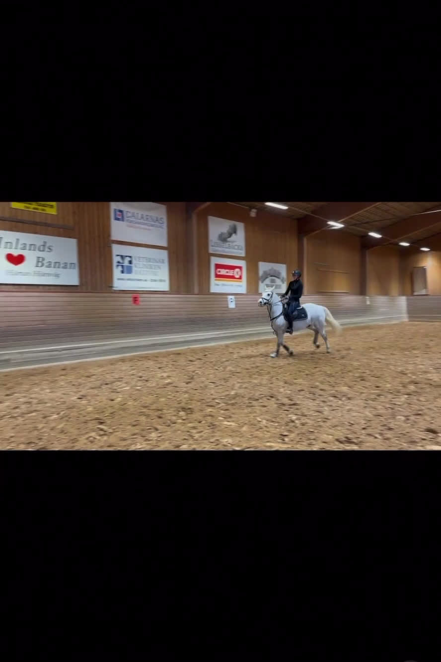 Hoppning hästar till salu: Trevlig ponny  i Skattungbyn - Video 1