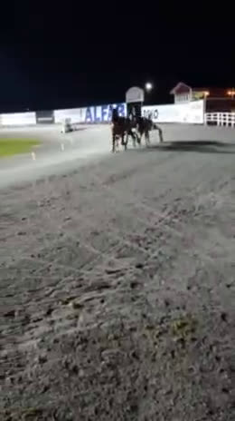 Trav hästar till salu: Starthäst..avel..ridhäst  i Strängnäs - Video 1