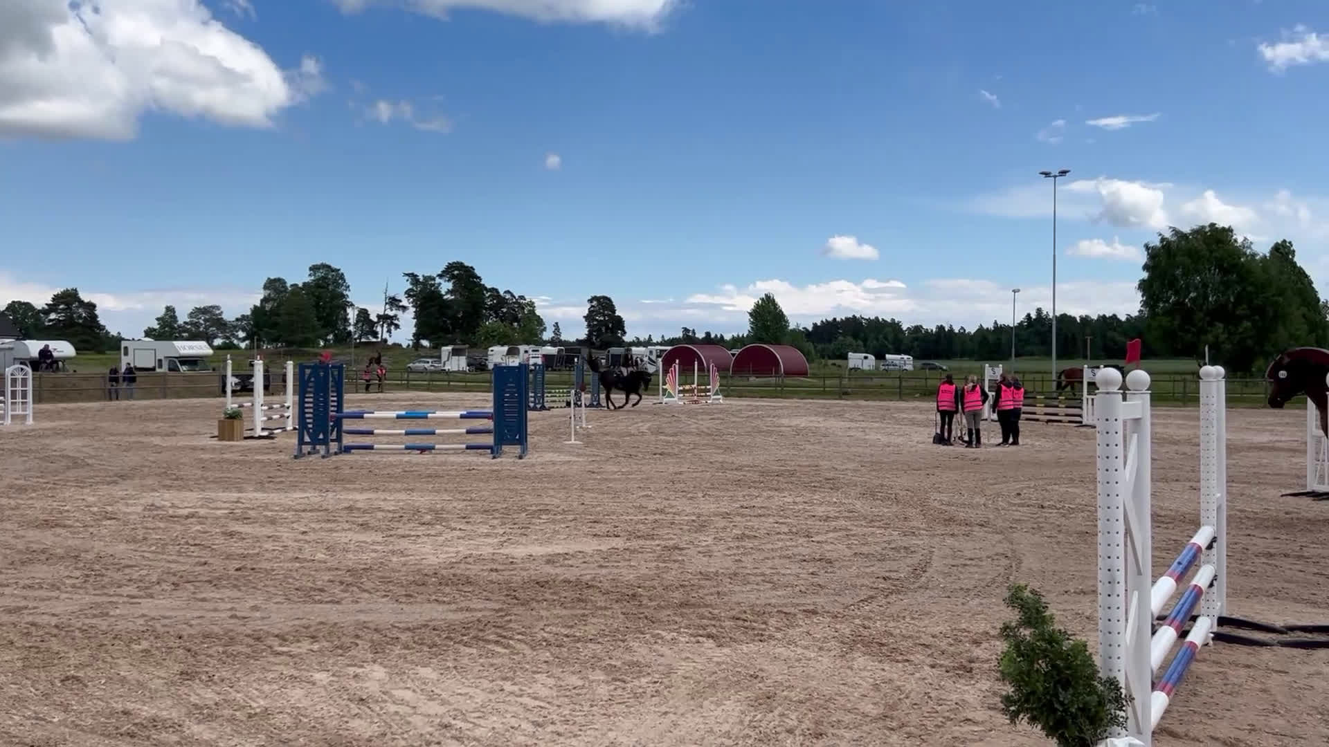 Hoppning hästar till salu: Valack med mycket personlighet och hoppglädje! i Västervik - Video 2
