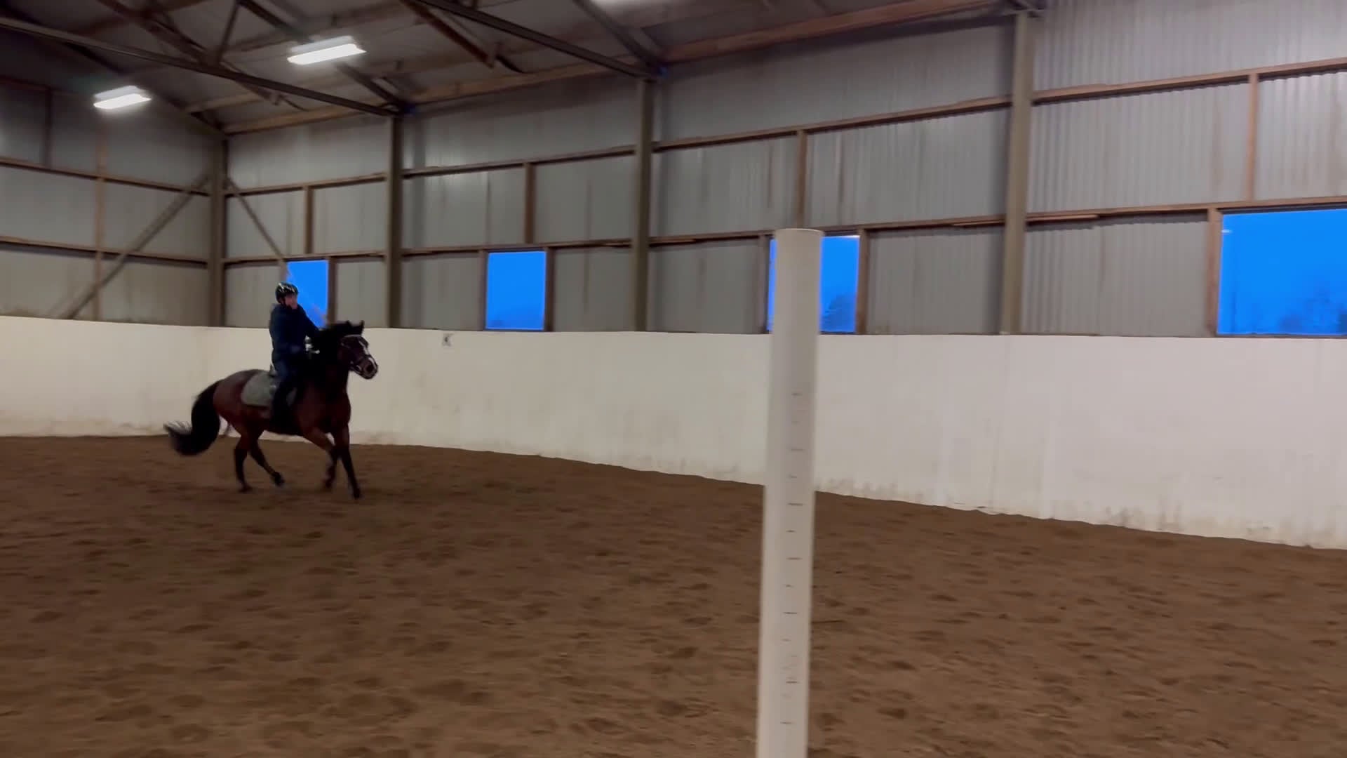 Hoppning hästar till salu: Sweetie Pie i Vikingstad - Video 2