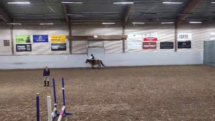  medryttarhäst sökes: Söker att få bli Medryttare - Video 1