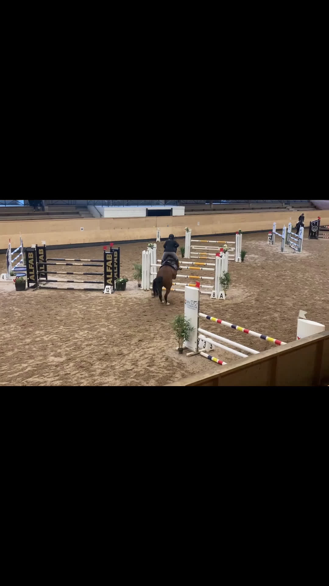 Hoppning hästar till salu: Children häst i Höör - Video 2