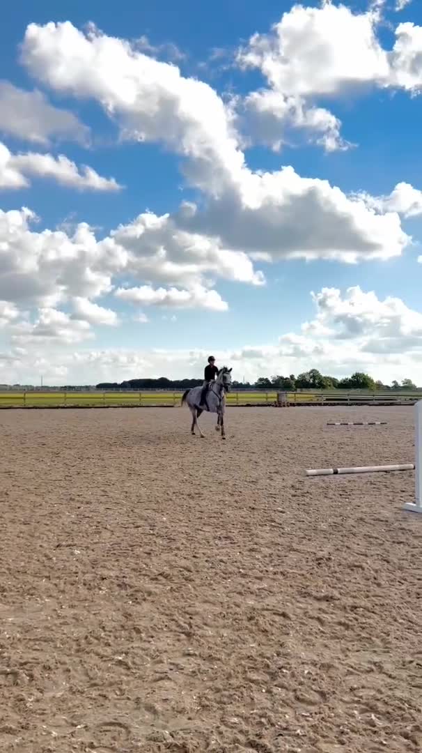 Hoppning hästar till salu: 8-årig SWB valack e. Ike – Almero Gii - Video 1