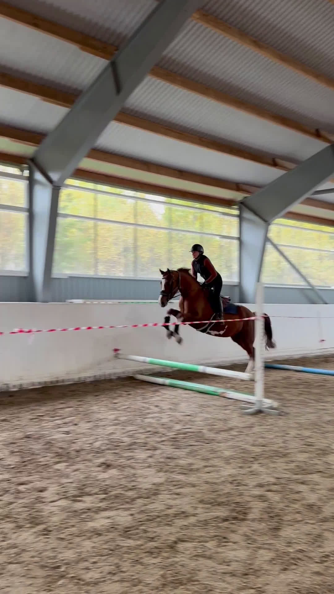  medryttarhäst finnes: Hoppryttare sökes till unghäst - Video 2